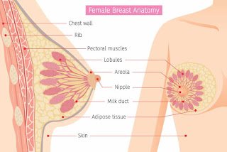 How to Prevent Breast Cancer Effective Tips without Medicines by Lady Doctor Nusrat Zafar Malik