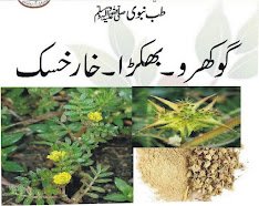 خارخسک  گوکھرو     یا   بھکڑا کے وہ فوائد جو آپ نہیں جانتے